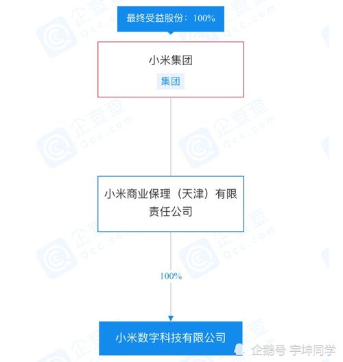 小米數(shù)字科技經(jīng)營異常引關(guān)注，旗下小米支付及信息系統(tǒng)運(yùn)行維護(hù)服務(wù)將受何影響？